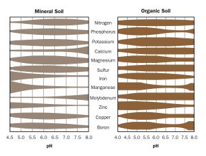 Graphic of Mineral versus Organic soil pH