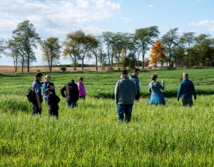Group of people in field at an ONFARM site in Oxford County