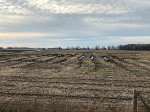 Figure 4. Field rutting has increased the necessity of tillage this fall.