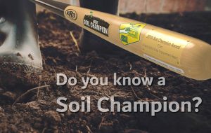 Soil Champion bat