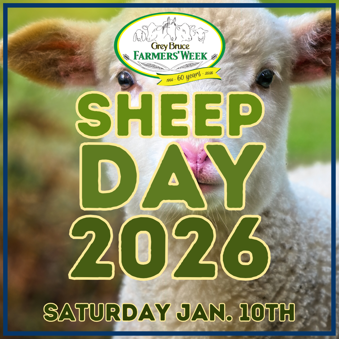 Sheep Day 2026