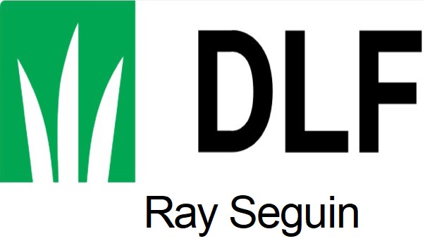 DLF