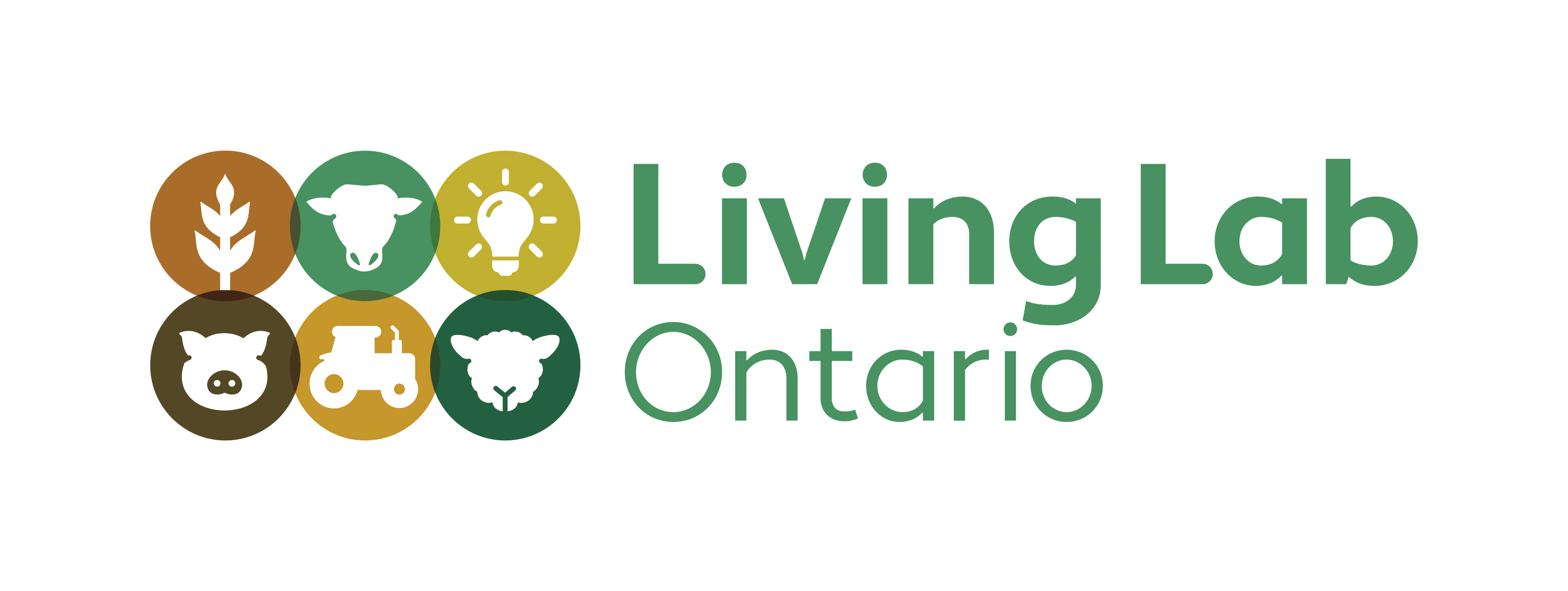 Research: Living Lab – Ontario Research Forum